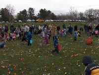Easter Egg Hunt 2011 image 2