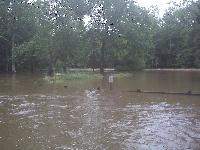 01 River Trail Road Park