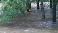 Ewald Park 7