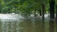 Flat Hill across from Seamans Park Rte 172