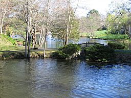 Heritage Village Pond