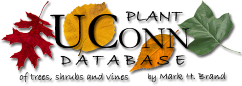 UConnPlantDatabase