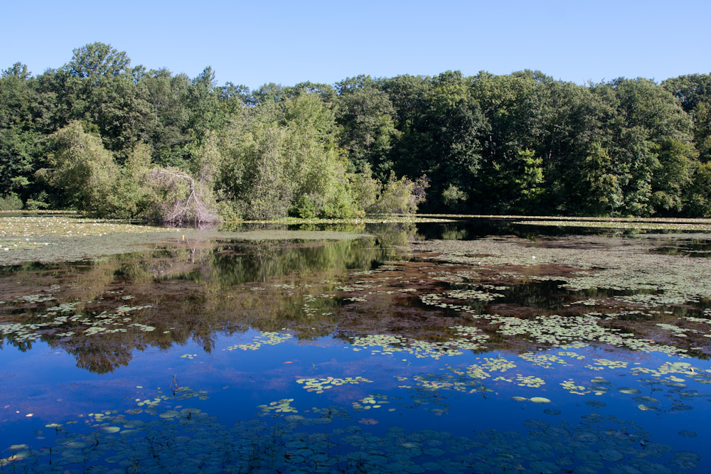 Hidden Pond Park Southbury, CT