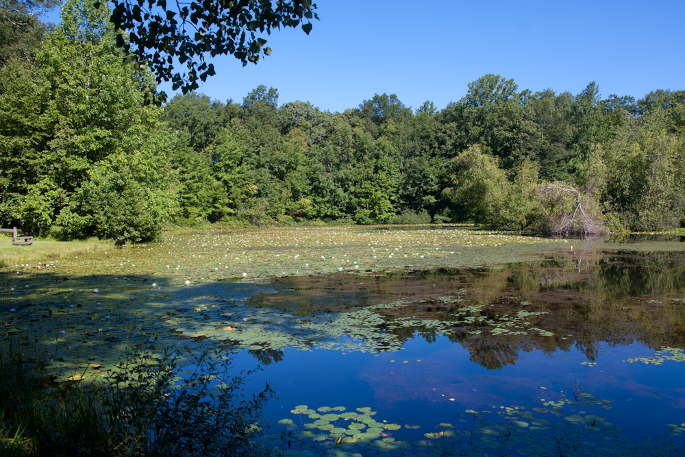 Hidden Pond Park Southbury, CT