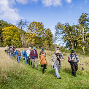 hikers