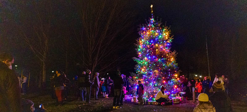 southbury tree