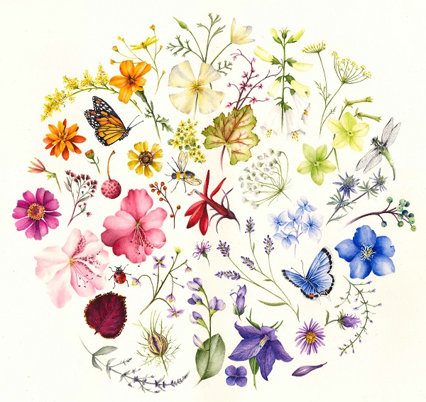 2022 Botanical Art Maribeth Winslow