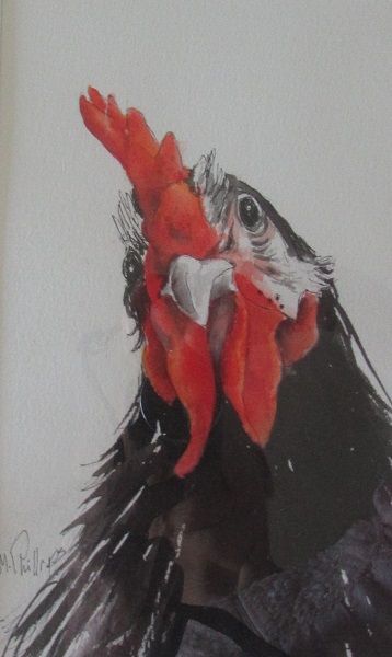 Pen and Ink of a Rooster by May Phillips
