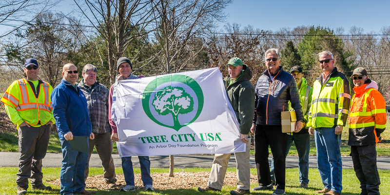 arbor day 2022 ceremony