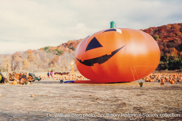 pumpkin patch