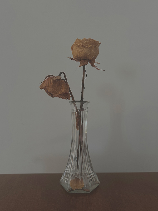 photograph of roses in vase