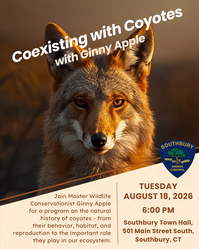 coyote presentation flyer