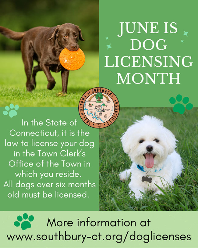 flyer for dog licensing
