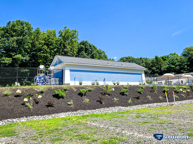 new plantings at ballantine park