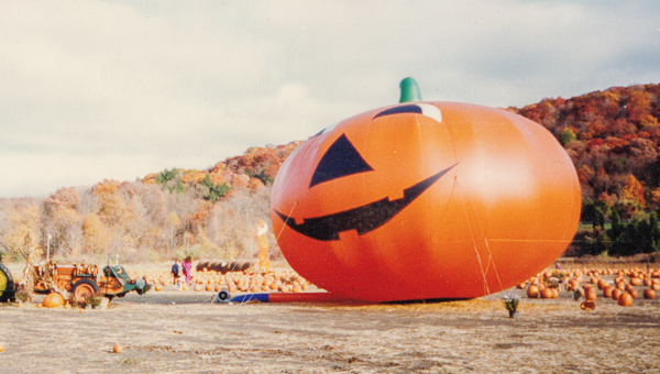 pumpkin patch