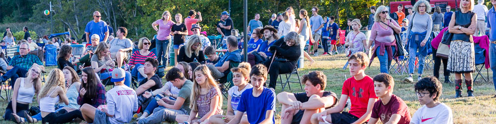 crowd of festival goers