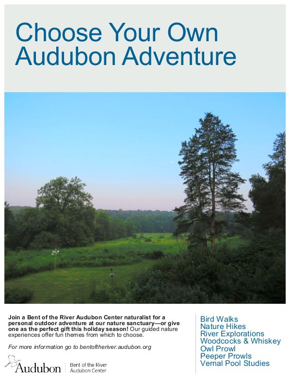 choose your own adventure flyer