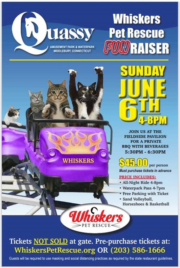 whiskers pet rescue quassy fun-raiser flyer