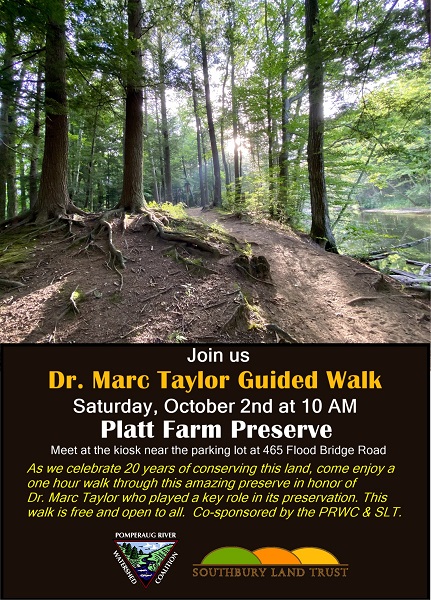 walk flyer
