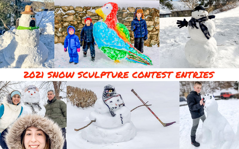 snow sculpture 2021 winners