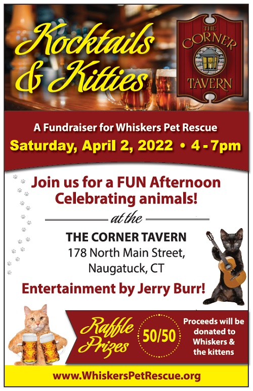 kocktails and kitties fundraiser