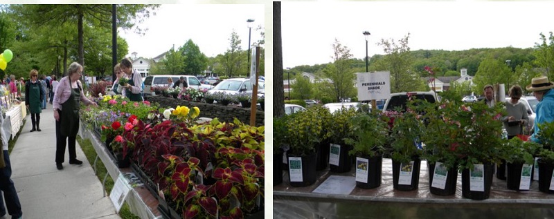 plant sale