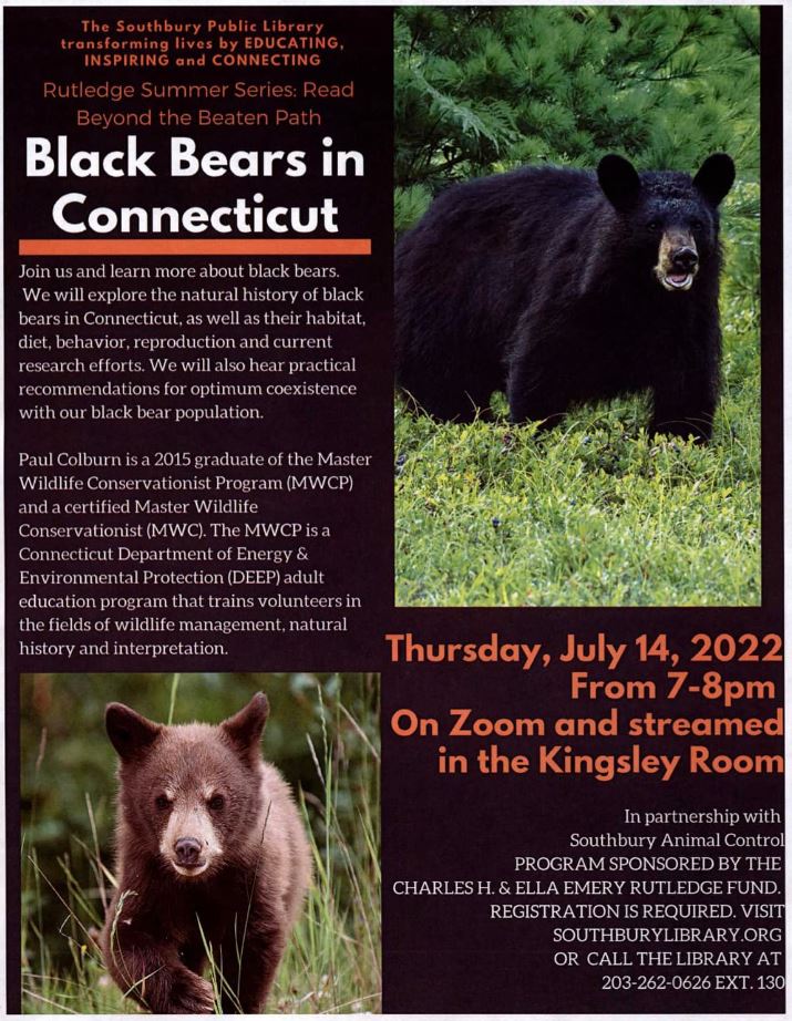 black bears presentation flyer