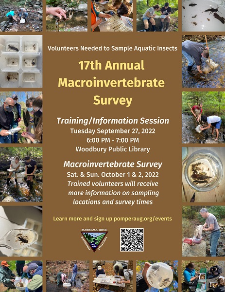 flyer for macroinvertebrates event