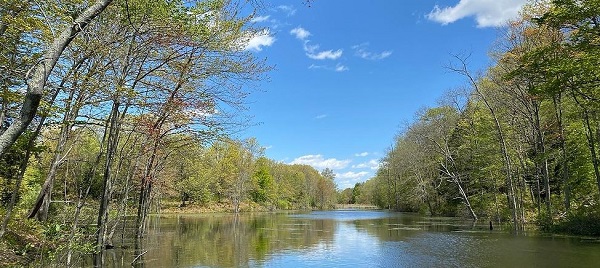 janie pierce park