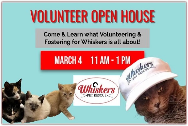cat rescue volunteer open house flyer