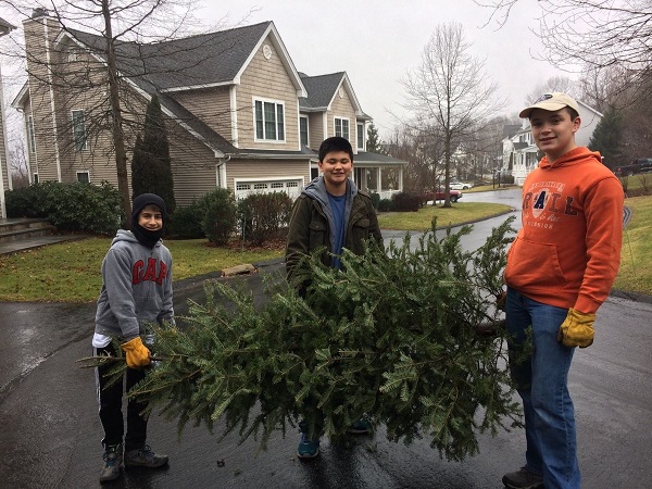 scouts picking up christmas trees