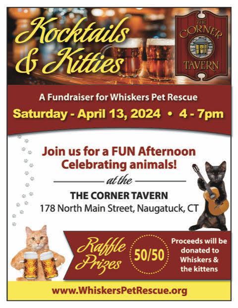 kocktails and kitties flyer