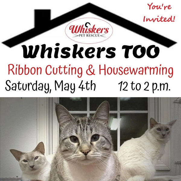 whiskers event flyer