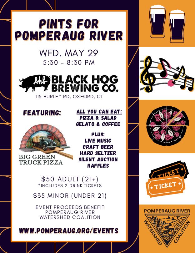 pints for pomperaug river flyer