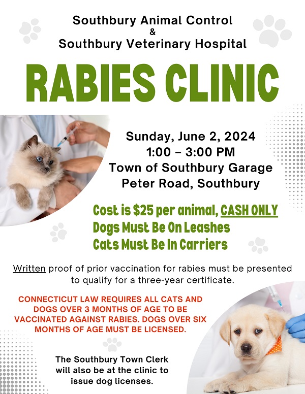 rabies clinic flyer