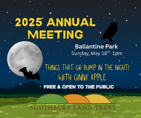 annual meeting flyer