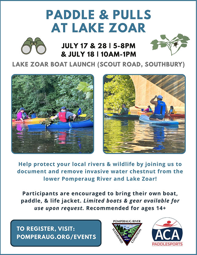 paddle and pull flyer