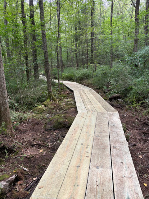 board walk