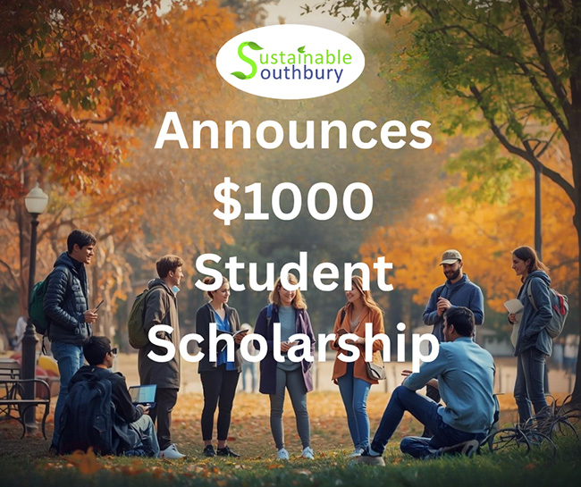 students scholarship flyer