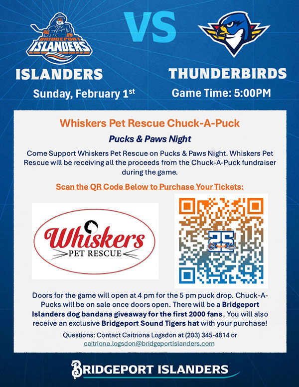 hockey fundraiser flyer