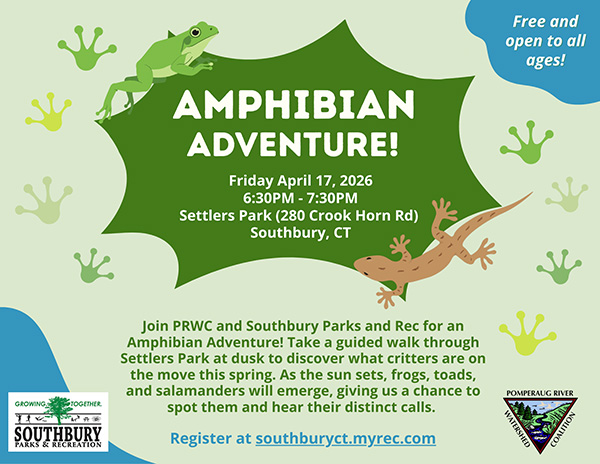 Amphibian Adventure flyer