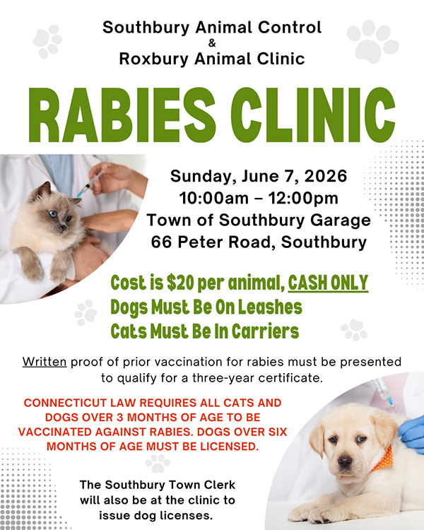 rabies clinic flyer
