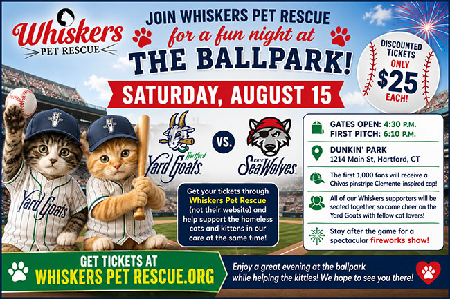 whiskers baseball fundraiser fllyer