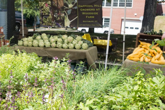 Daffodil Hill Growers stand