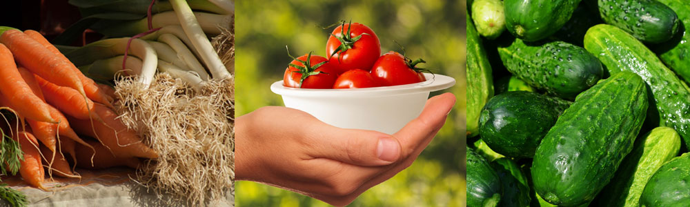 Vegetables: carrots, leeks, tomatoes and cucumbers.