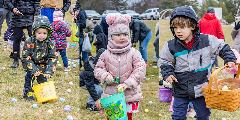 egg hunt