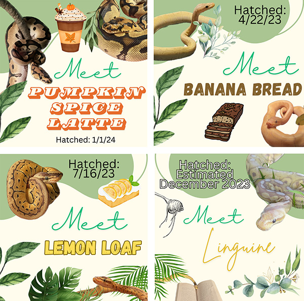 snake lab flyer