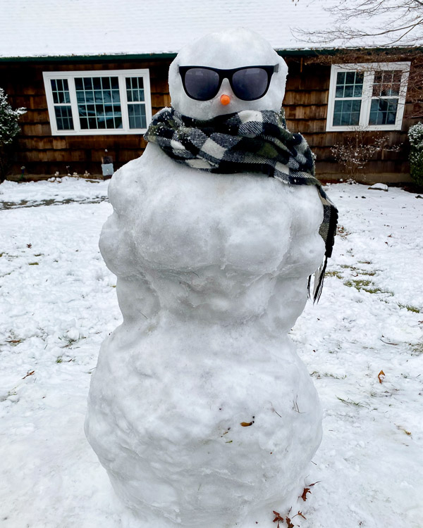 snow sculpture