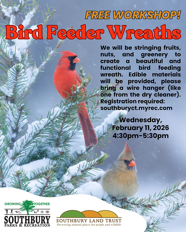 bird feeder wreath workshop flyer