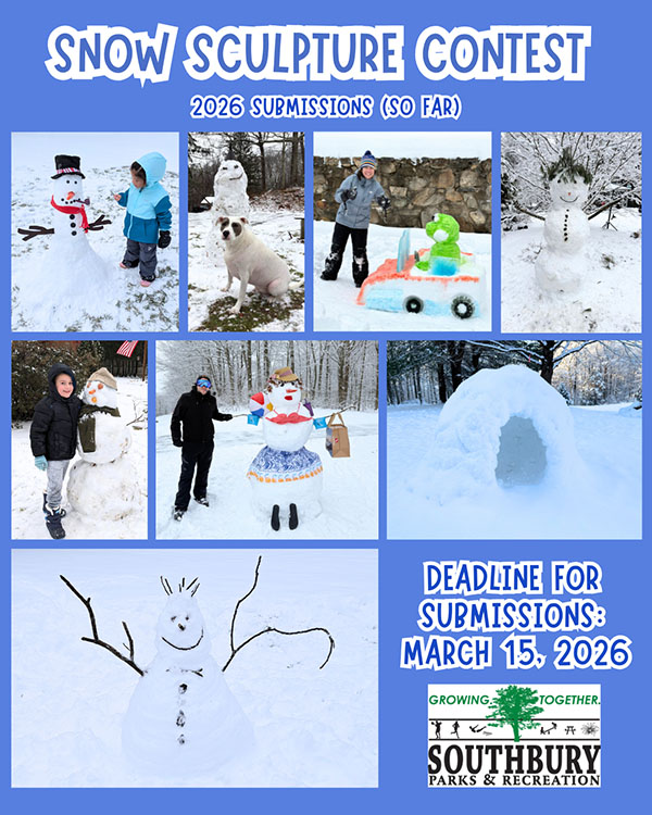 snow sculpture contest